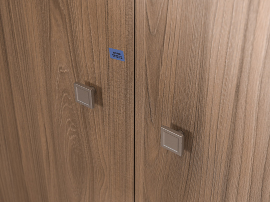 Шкаф для одежды ЛДСП Ясень шимо