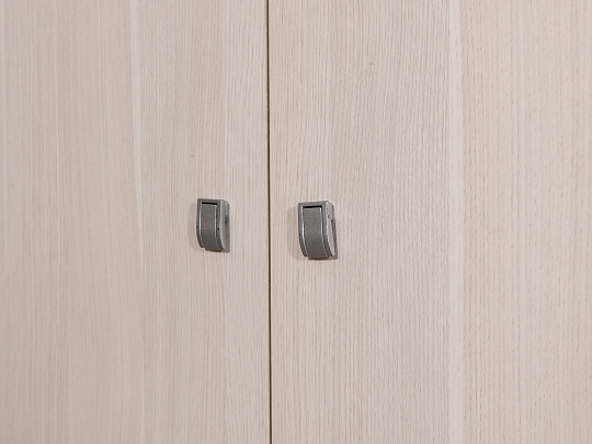 Шкаф для одежды Экспро Vasanta ЛДСП Клен Россия