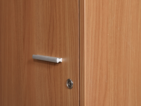 Шкаф для одежды ЛДСП Ольха