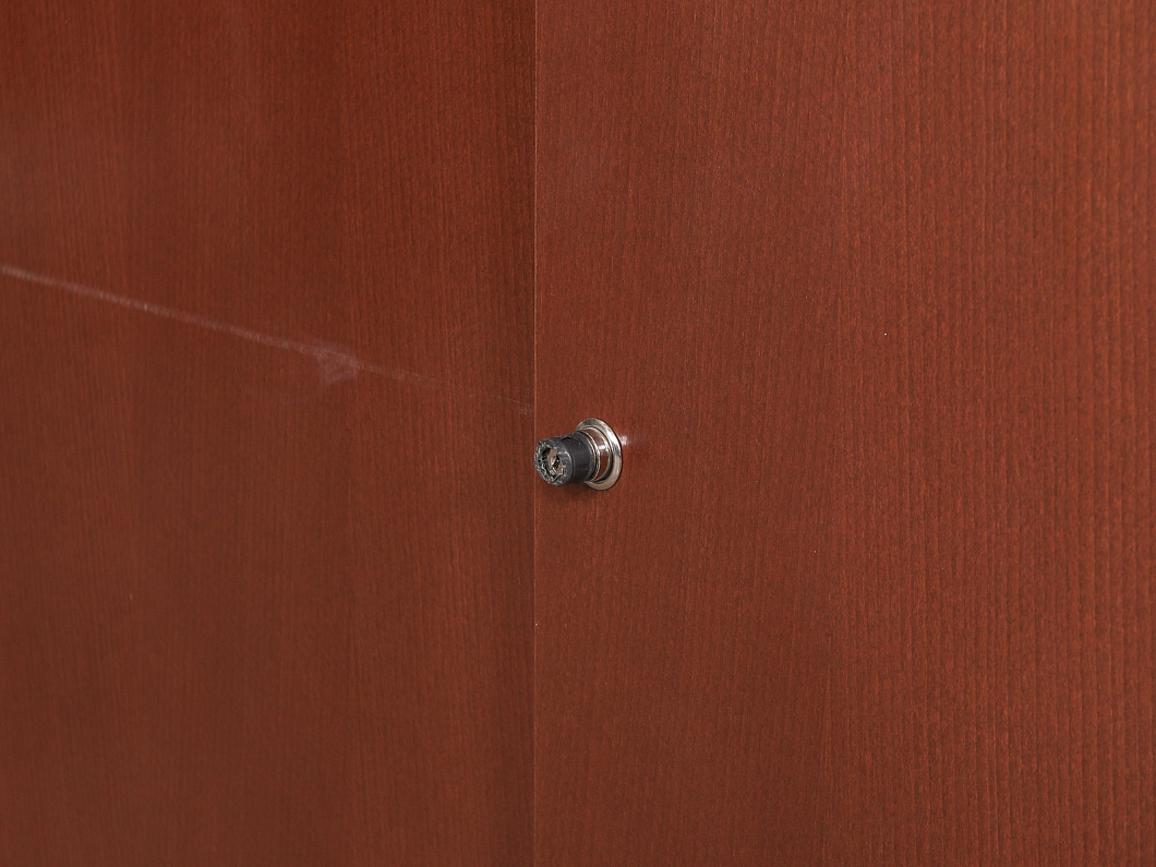 Шкаф для документов Bene ЛДСП Вишня Австрия (ШДВШ1-070425)