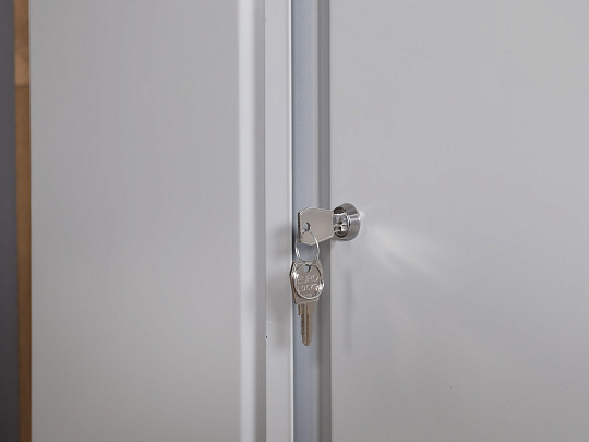 Шкаф для документов Cobalt Металл Россия