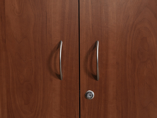 Шкаф для документов ЛДСП Вишня