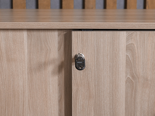 Шкаф для документов ЛДСП Ясень шимо