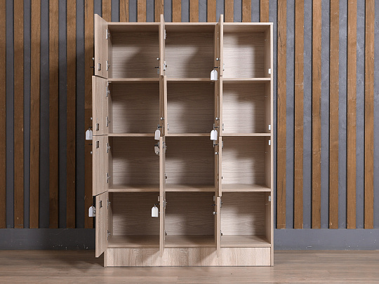 Ячейки для хранения ЛДСП Ясень шимо