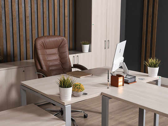 Кабинет руководителя ЛДСП Бук