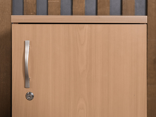 Шкаф для документов ЛДСП Ольха