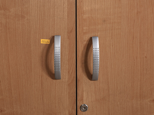 Шкаф для одежды ЛДСП Ольха