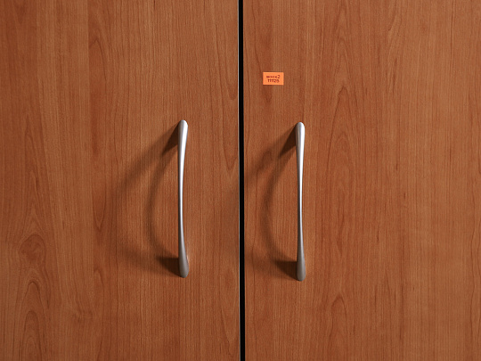 Шкаф для одежды ЛДСП Ольха