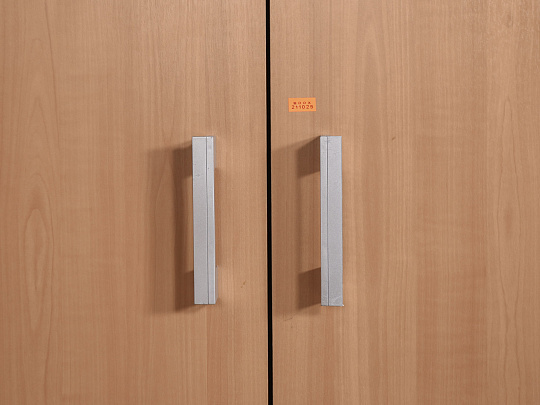 Шкаф для одежды ЛДСП Ольха