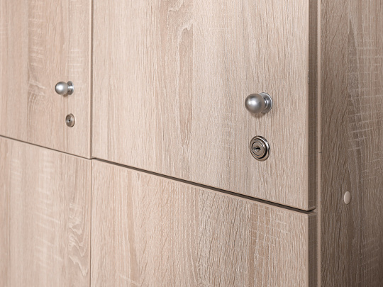 Шкаф для одежды ЛДСП Ясень шимо