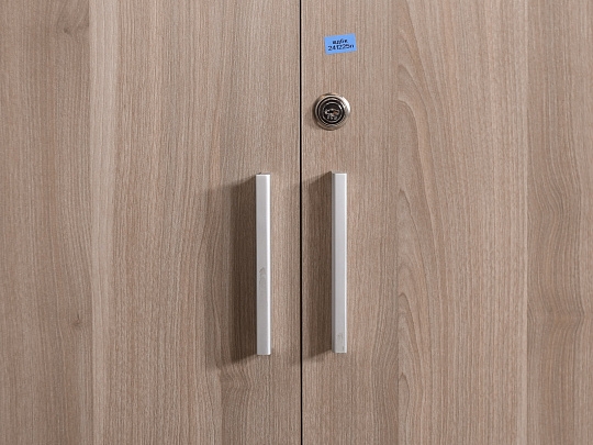 Шкаф для документов ЛДСП Бук