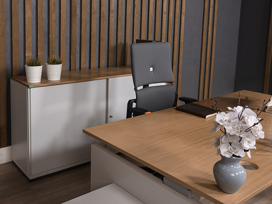 Кабинет руководителя Bene ЛДСП Ольха Австрия