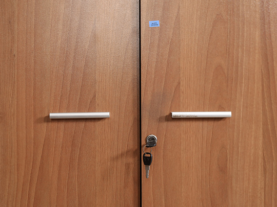 Шкаф для одежды ЛДСП Ольха