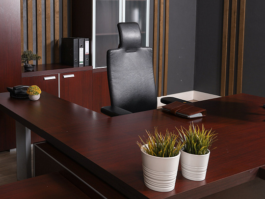 Кабинет руководителя ЛДСП Махагон