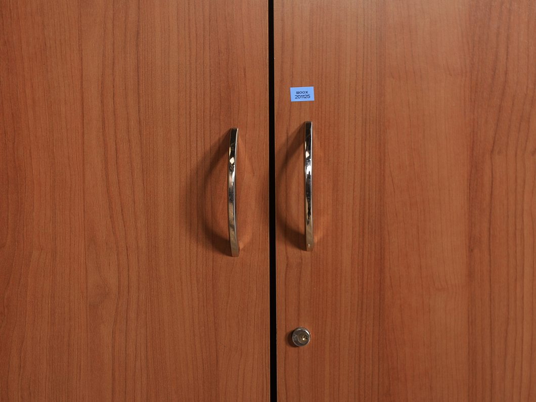 Шкаф для одежды ЛДСП Ольха (ШООХ-201125)