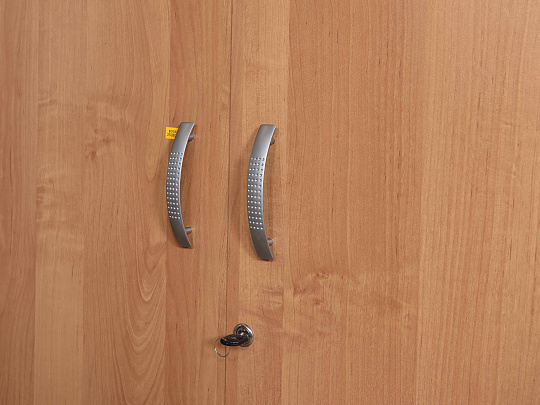 Шкаф для одежды ЛДСП Ольха